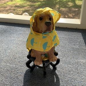 Doggie Raincoat